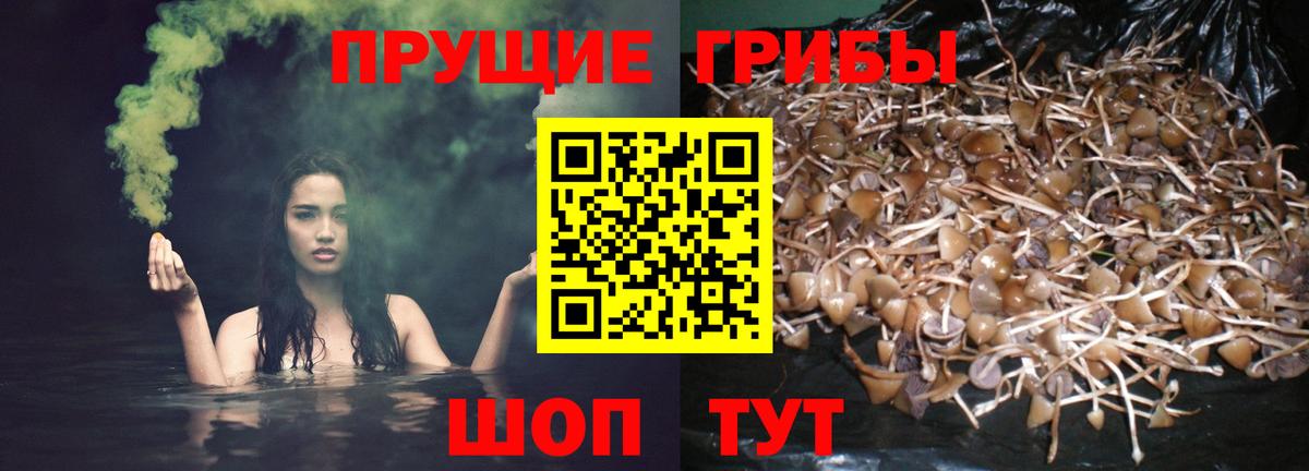 Псилоцибиновые грибы мухоморы Донской